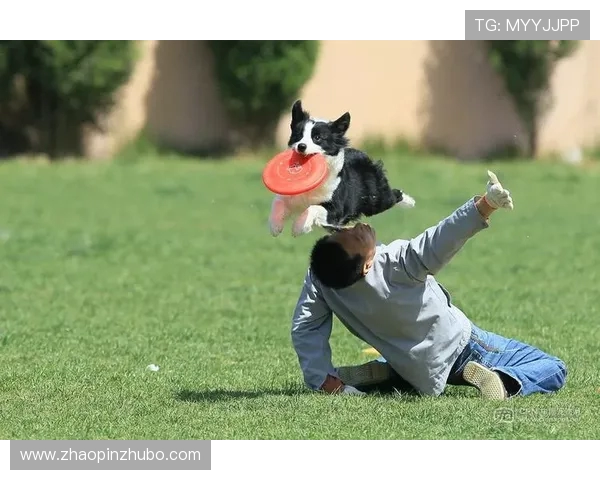 上海飞盘队在极限运动世界杯中的个人能力表现分析与点评